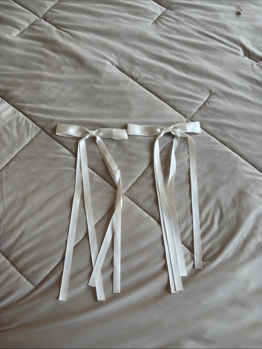 Set of two Ribbon Clips